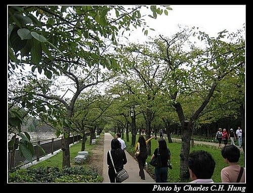 日本浪漫四都–Day 4–大阪城公園