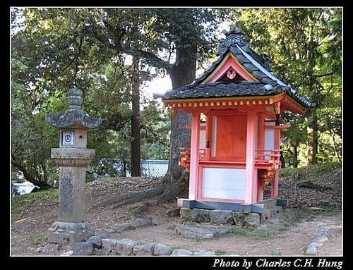 日本浪漫四都–Day 1–奈良公園