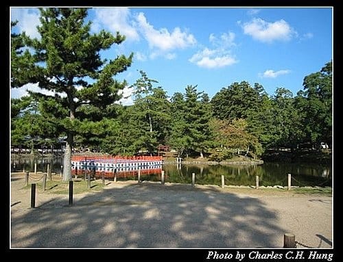 日本浪漫四都–Day 1–東大寺