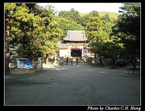 日本浪漫四都–Day 1–奈良公園