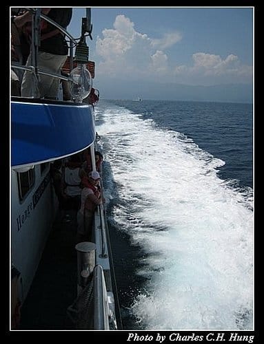 宜蘭頭城–龜山島 - 第7張圖 宜蘭頭城–龜山島