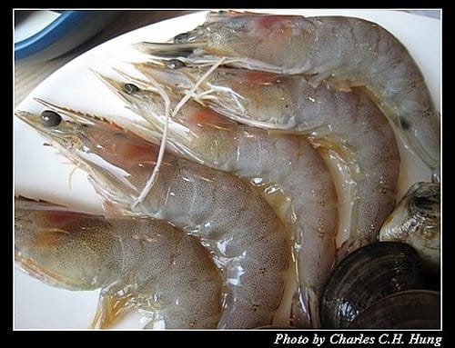 新竹竹北–三月日式涮涮屋