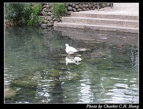 新竹市–街景隨拍(一)