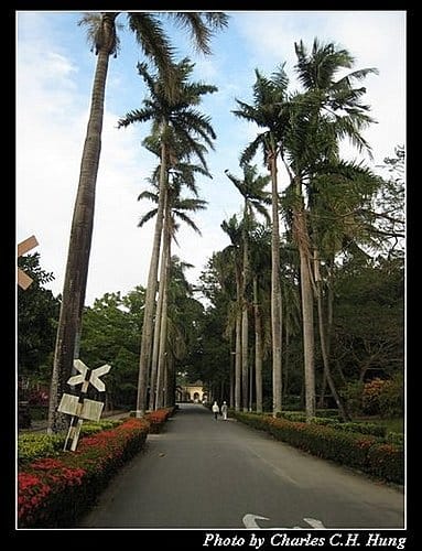 高雄橋頭–台灣糖業博物館
