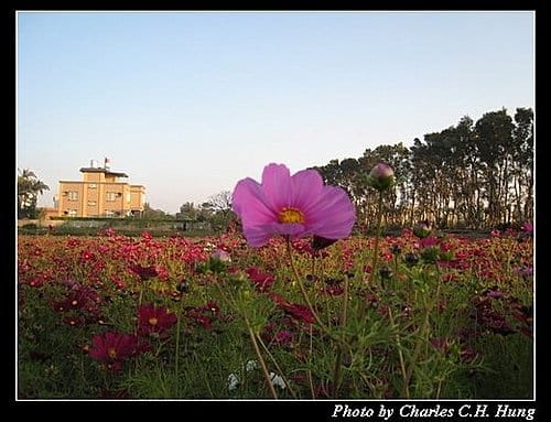 新竹竹北–花田囍市