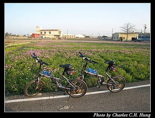 新竹竹北–花田囍市