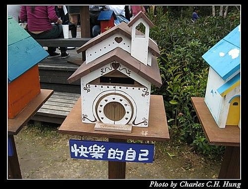 新竹尖石–薰衣草森林