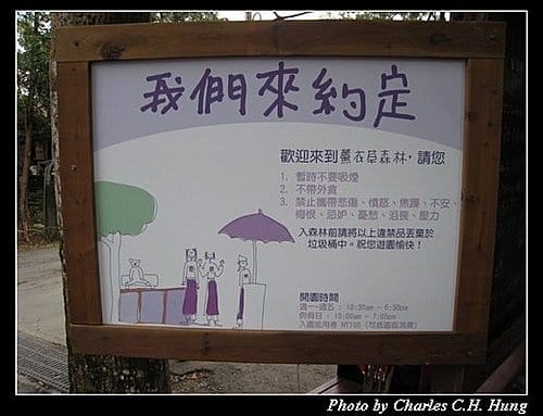 新竹尖石–薰衣草森林