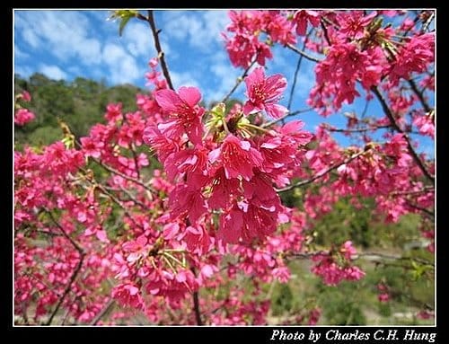 新竹橫山–內灣親水公園 - 第4張圖 新竹橫山–內灣親水公園