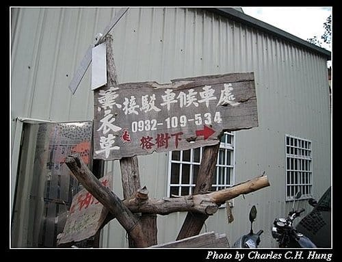 新竹尖石–薰衣草森林