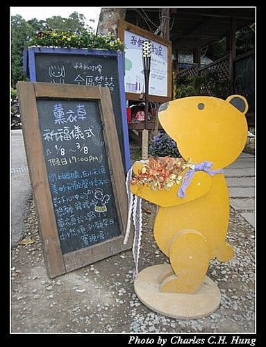 新竹尖石–薰衣草森林