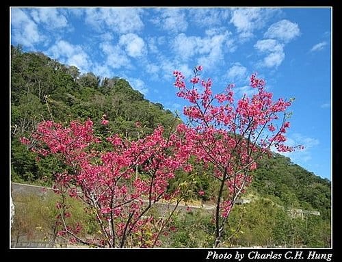 新竹橫山–內灣親水公園 - 第3張圖 新竹橫山–內灣親水公園