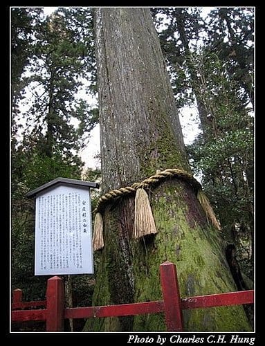 日本東京–Day 3–箱根神社 - 第31張圖 日本東京–Day 3–箱根神社