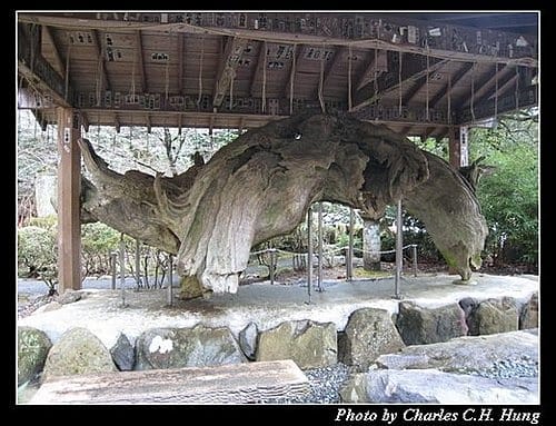 日本東京–Day 3–箱根神社 - 第5張圖 日本東京–Day 3–箱根神社
