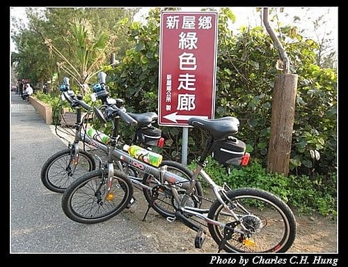 桃園新屋–綠色隧道