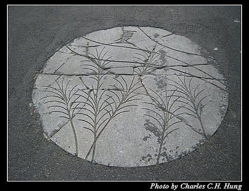 桃園新屋–綠色隧道