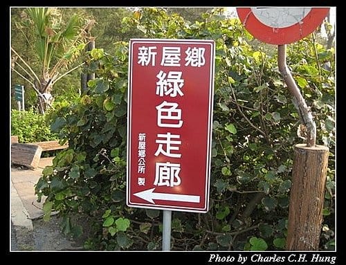 桃園新屋–綠色隧道