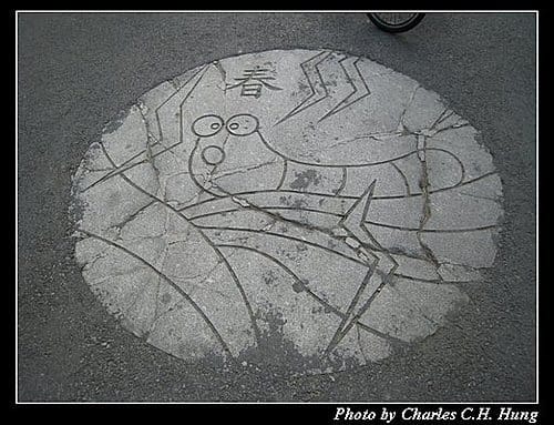 桃園新屋–綠色隧道