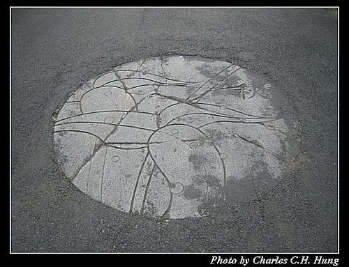 桃園新屋–綠色隧道