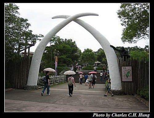 新竹關西–六福村非洲部落(原野生動物園) - 第2張圖 新竹關西–六福村非洲部落(原野生動物園)