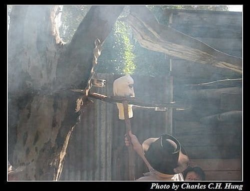 東澳好事多–Day 3–夢幻世界野生動物區