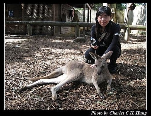 東澳好事多–Day 3–夢幻世界野生動物區