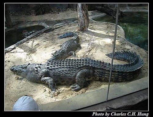 東澳好事多–Day 3–夢幻世界野生動物區