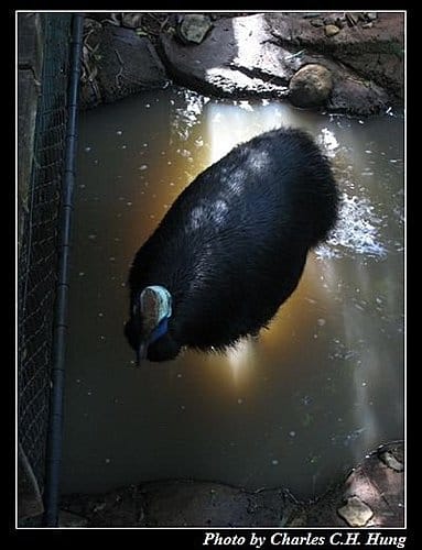 東澳好事多–Day 3–夢幻世界野生動物區