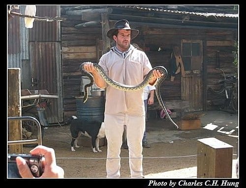 東澳好事多–Day 3–夢幻世界野生動物區