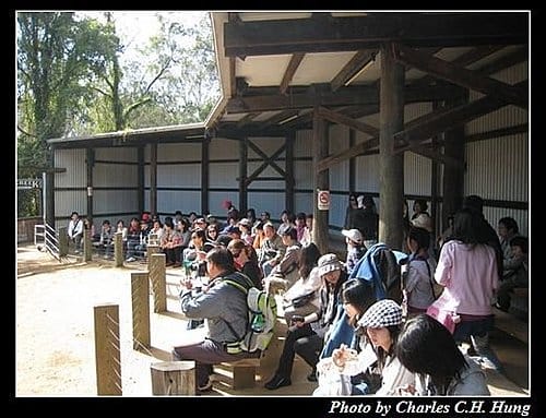東澳好事多–Day 3–夢幻世界野生動物區