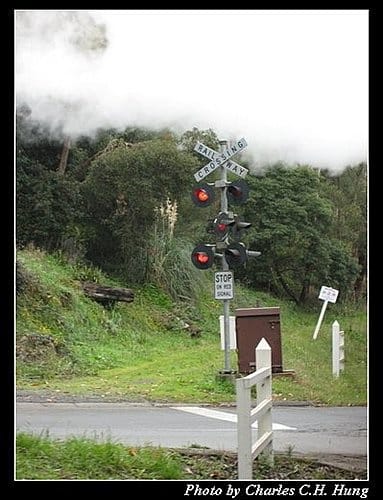 東澳好事多–Day 5–丹頓農區蒸氣火車