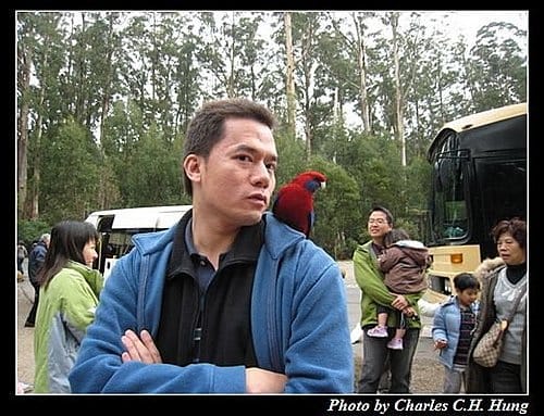 東澳好事多–Day 5–Dandenong Ranges National Park