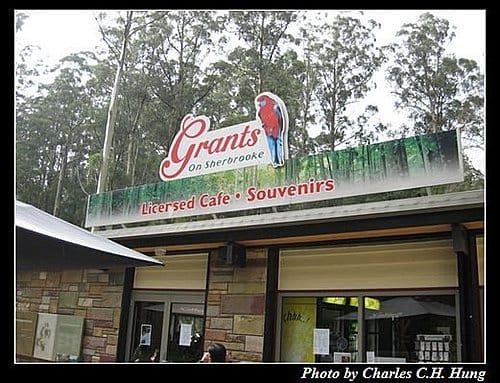 東澳好事多–Day 5–Dandenong Ranges National Park