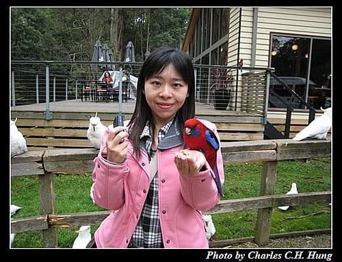 東澳好事多–Day 5–Dandenong Ranges National Park