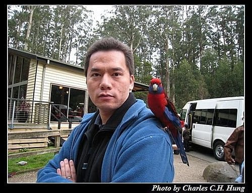 東澳好事多–Day 5–Dandenong Ranges National Park