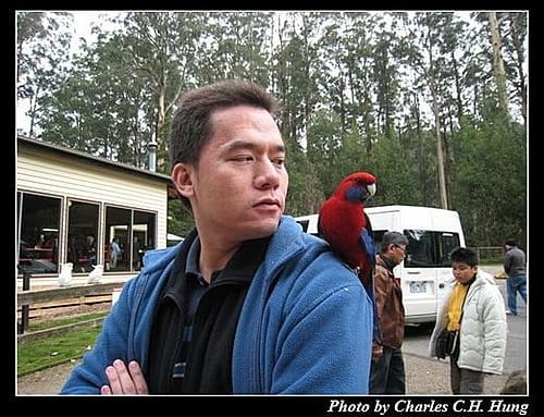 東澳好事多–Day 5–Dandenong Ranges National Park