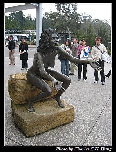 東澳好事多–Day 6–藍山國家公園 - 第10張圖 東澳好事多–Day 6–藍山國家公園