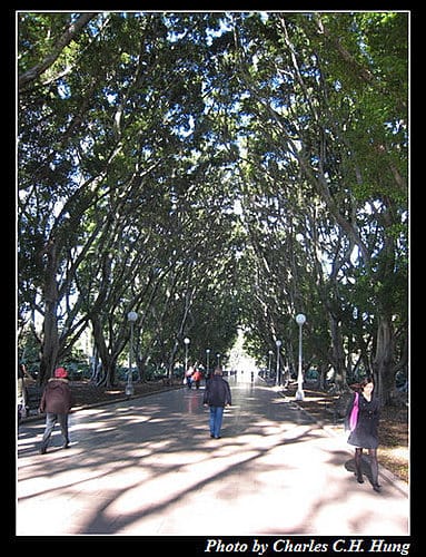 東澳好事多–Day 7–海德公園 - 第9張圖 東澳好事多–Day 7–海德公園