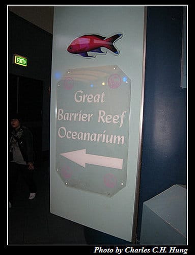 東澳好事多–Day 7–Sydney Aquarium - 第40張圖 東澳好事多–Day 7–Sydney Aquarium