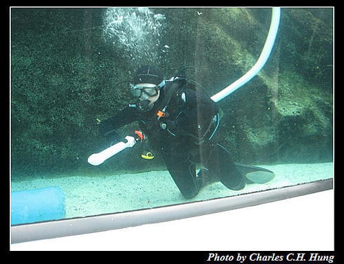 東澳好事多–Day 7–Sydney Aquarium - 第23張圖 東澳好事多–Day 7–Sydney Aquarium