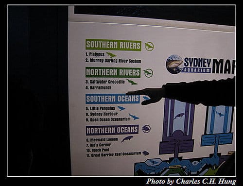東澳好事多–Day 7–Sydney Aquarium - 第4張圖 東澳好事多–Day 7–Sydney Aquarium