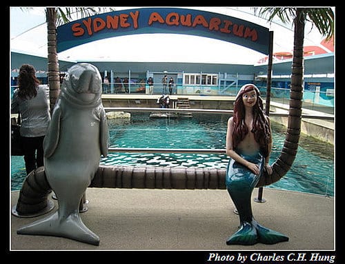東澳好事多–Day 7–Sydney Aquarium - 第21張圖 東澳好事多–Day 7–Sydney Aquarium
