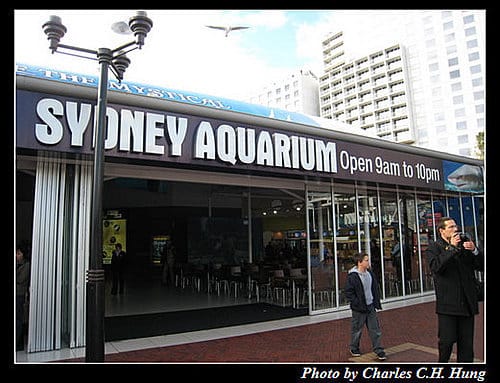 東澳好事多–Day 7–Sydney Aquarium - 第2張圖 東澳好事多–Day 7–Sydney Aquarium