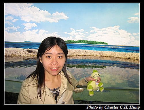 東澳好事多–Day 7–Sydney Aquarium - 第42張圖 東澳好事多–Day 7–Sydney Aquarium