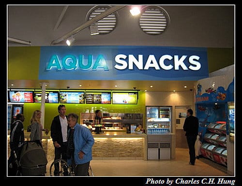 東澳好事多–Day 7–Sydney Aquarium - 第47張圖 東澳好事多–Day 7–Sydney Aquarium