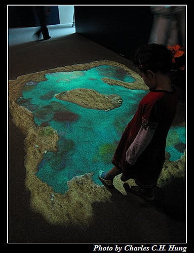 東澳好事多–Day 7–Sydney Aquarium - 第30張圖 東澳好事多–Day 7–Sydney Aquarium