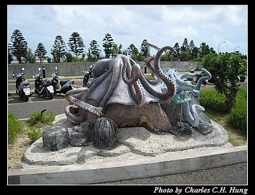 澎湖白沙–澎湖水族館 - 第62張圖 澎湖白沙–澎湖水族館