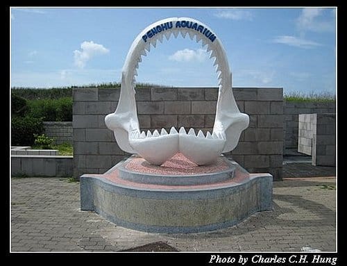 澎湖白沙–澎湖水族館 - 第63張圖 澎湖白沙–澎湖水族館