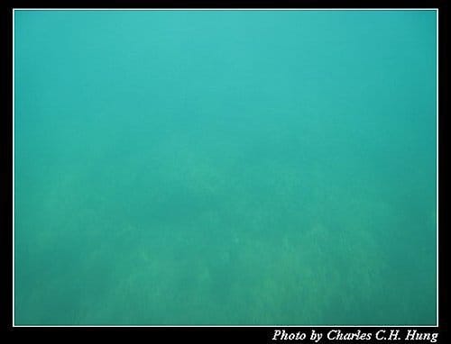 澎湖馬公–海洋牧場