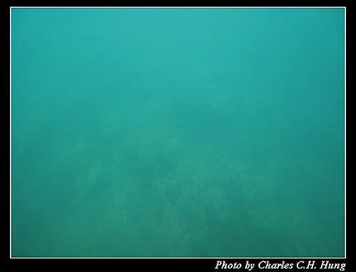 澎湖馬公–海洋牧場